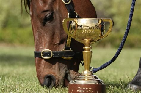 Melbourne Cup Favourites 2024 .
